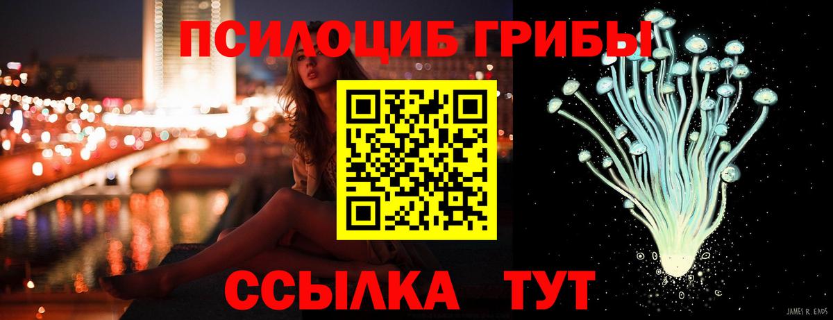Строитель  Псилоцибиновые грибы ЛСД  Вход с VPN 